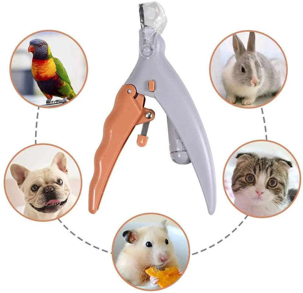 Grooming Scissors - กรรไกรตัดเล็บสัตว์เลี้ยงแบบมืออาชีพสำหรับแมวและสุนัขพร้อมไฟ LED - เครื่องตัดเล็บและเครื่องมือตัดเล็บสำหรับสัตว์เลี้ยง