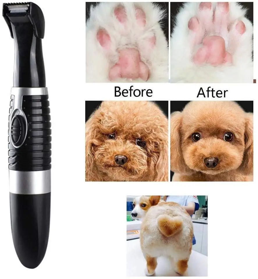เครื่องตัดขนสัตว์เลี้ยงไฟฟ้า 5 - Body Trimmer บทวิจารณ์และราคา